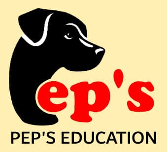 Logo Pep's Éducation